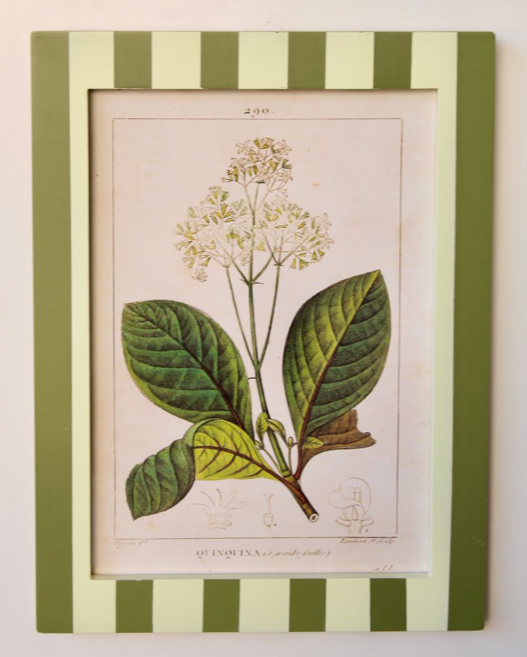Framed Art - Green Striped Botany No.4 47x39