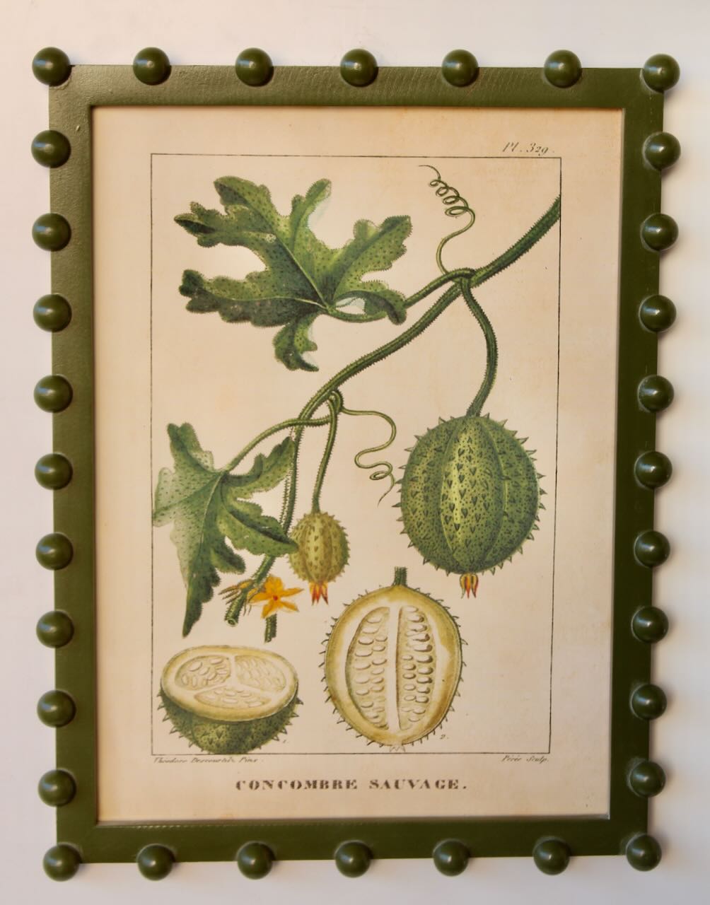 Framed Art - Green Bobbled Frame Durian 40x30