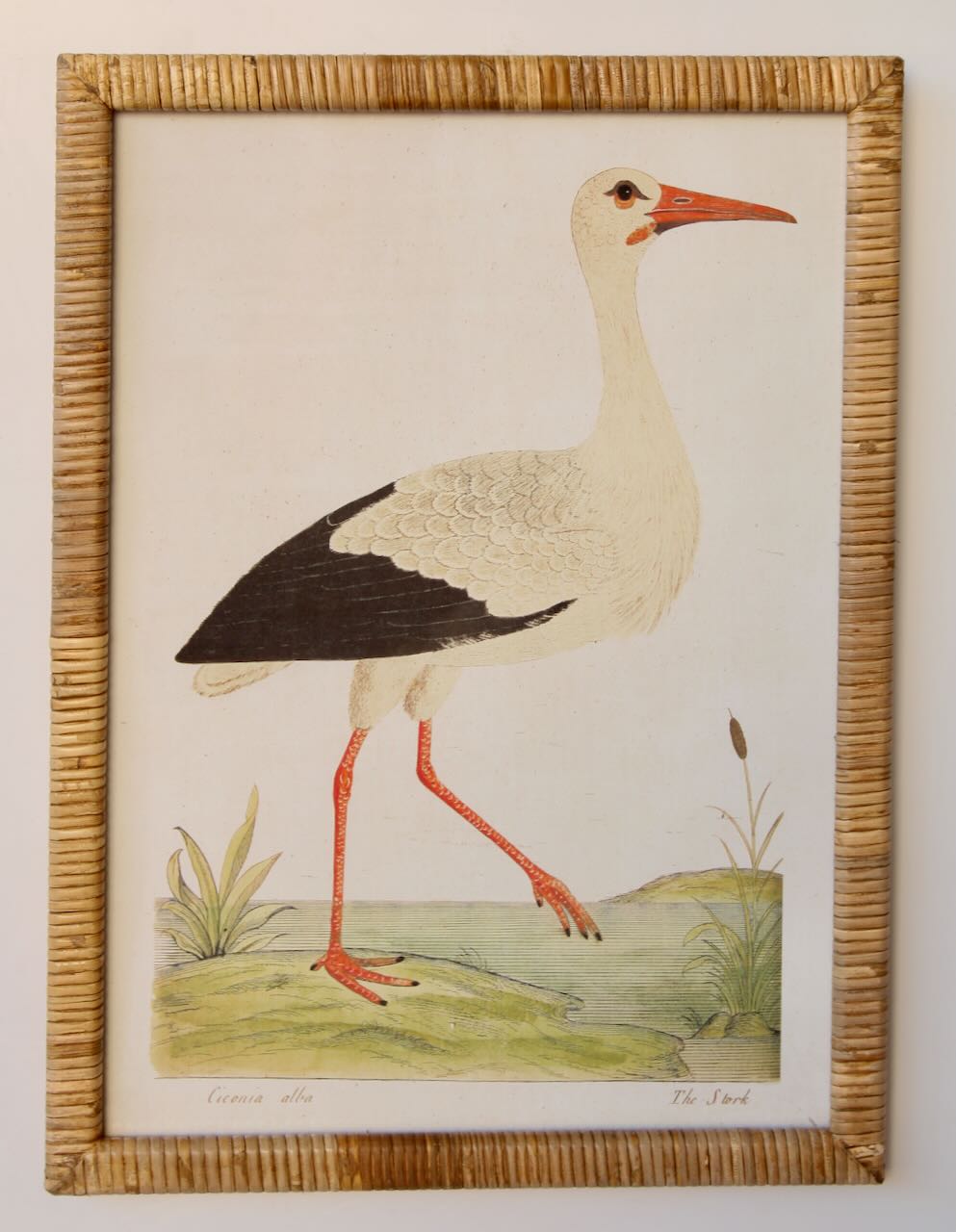 Framed Art - Rattan Stork 54x40