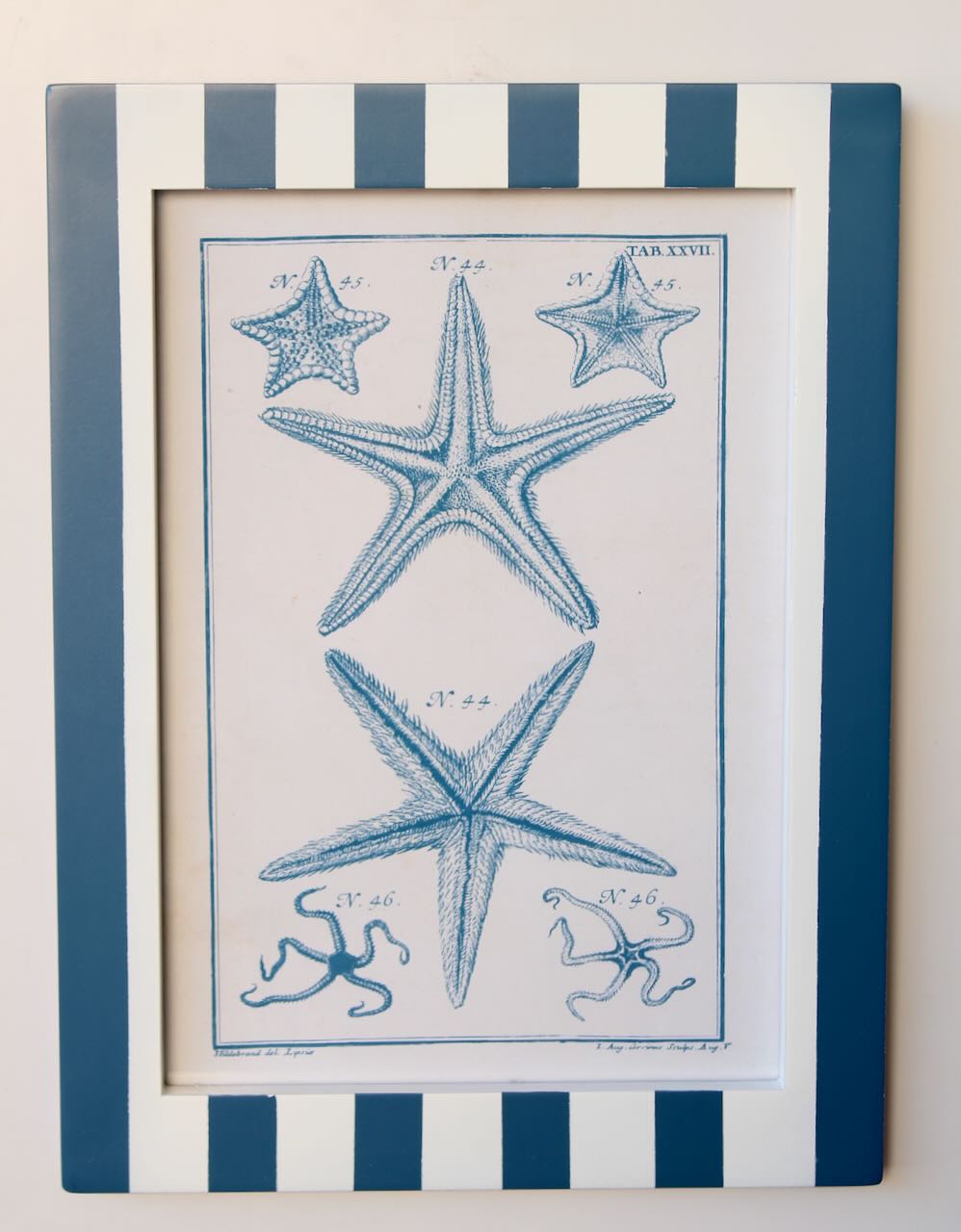 Framed Art - Striped Blue & White Starfish