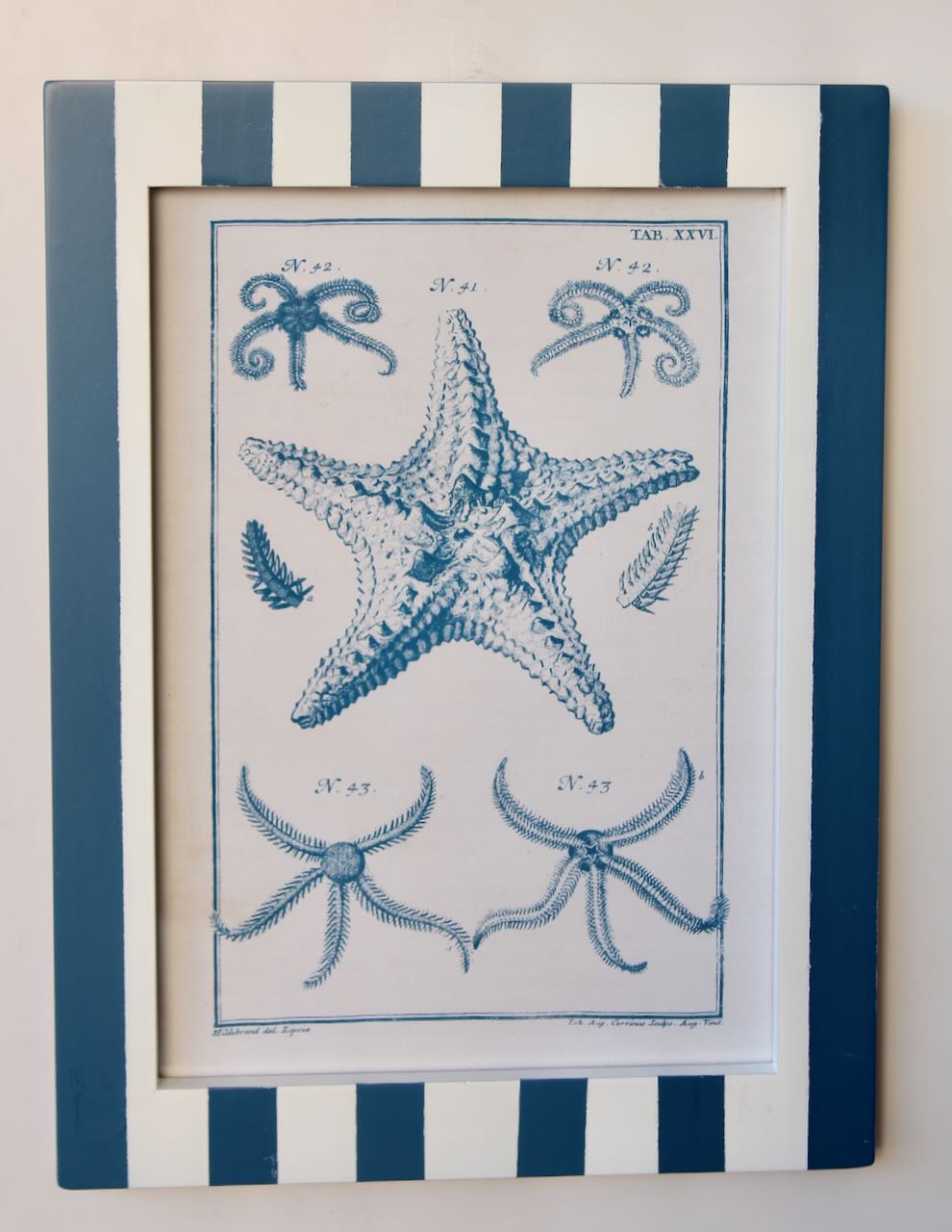 Framed Art - Striped Blue & White Starfish No.2