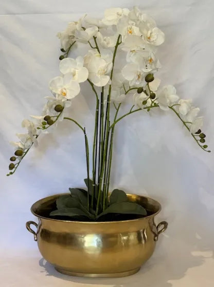Wine Cooler - Brass Tub Extra Large