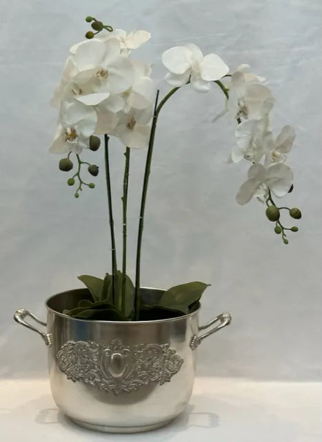 Wine Cooler - Silver Handled Bowl
