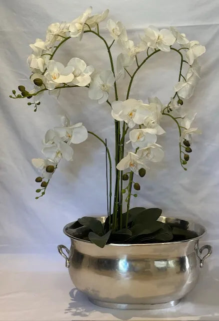 Wine Cooler - Silver Handled Tub Large XL