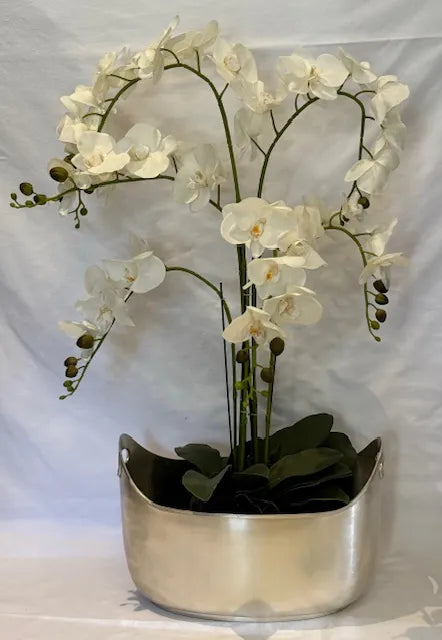 Wine Cooler - Silver Tub Large